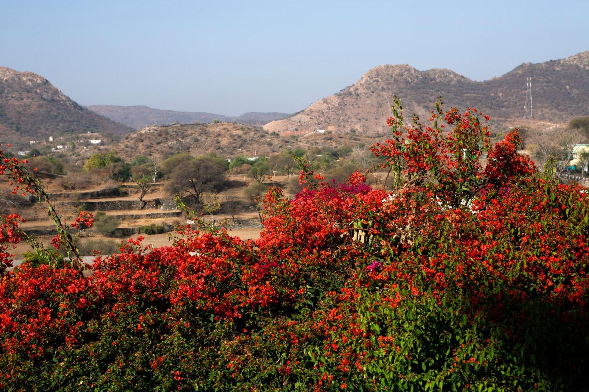 מלון Delwāra Raas Devigarh מראה חיצוני תמונה